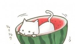 读心声吃瓜动画,动画中的心理解码与趣味解读