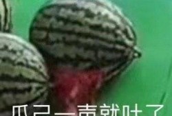 听朋友吃瓜,朋友吃瓜背后的惊人内幕