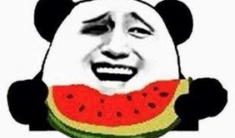 低调吃瓜群众视频,视频背后的趣味与真相