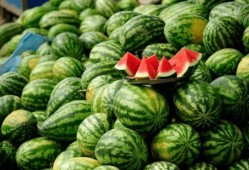 吃瓜康县网红,揭秘网络红人的魅力与争议