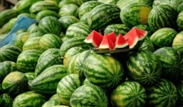 吃瓜康县网红,揭秘网络红人的魅力与争议