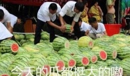 吃瓜圈事件,揭秘网络舆论背后的真相与争议