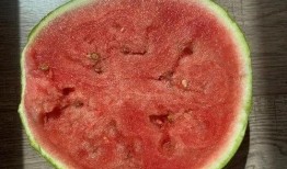 怎样科学吃瓜,揭秘科学吃瓜的五大秘诀