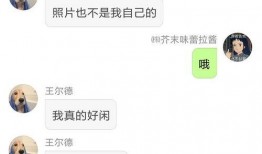 吃瓜兄弟聊天软件下载,下载体验，畅享社交新乐趣