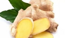 冬吃萝卜夏吃瓜的好处,冬萝卜夏瓜，健康生活必备良方