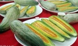 酥瓜连皮吃吗,营养与口感的双重享受