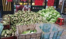 聚众吃瓜视频大全,聚众吃瓜视频大全，揭秘娱乐圈幕后故事