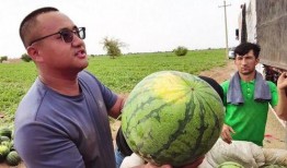 学步桥吃瓜,夏日里的欢乐时光