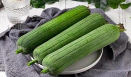 立秋吃三瓜有什么瓜呀,品味三瓜养生之道