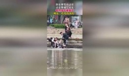 吃瓜群众原始视频,一场视觉盛宴的幕后故事