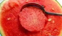 来月经量多可以吃刺瓜吗,刺瓜能否成为你的健康小助手？