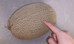 哈密瓜怎么吃才能熟的快,哈密瓜快速熟透的简易食用法
