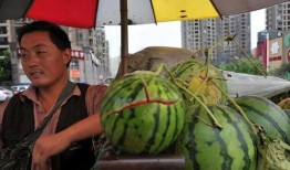 吃瓜被卖,揭秘网络时代的“瓜商”传奇