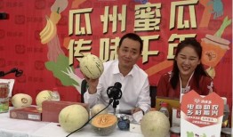 吃流星蜜瓜,探寻流星蜜瓜的独特魅力