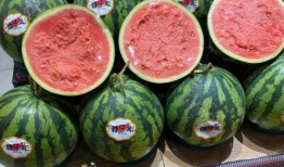 115144吃瓜群,揭秘网络社交圈的趣味与争议