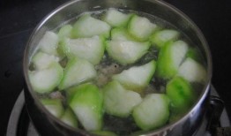 怎么煮瓜吃,解锁煮瓜的多样风味